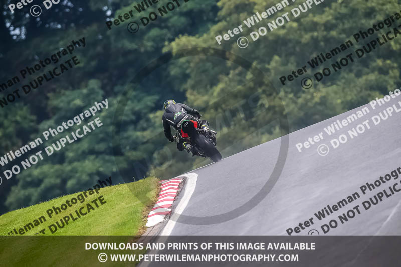 PJ Motorsport Photography 2020;anglesey;brands hatch;cadwell park;croft;donington park;enduro digital images;event digital images;eventdigitalimages;mallory;no limits;oulton park;peter wileman photography;racing digital images;silverstone;snetterton;trackday digital images;trackday photos;vmcc banbury run;welsh 2 day enduro